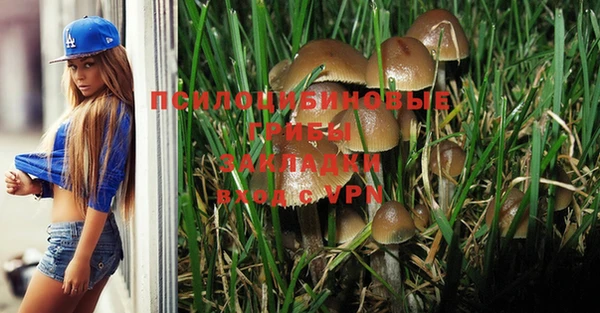 соль курить ск Вязьма