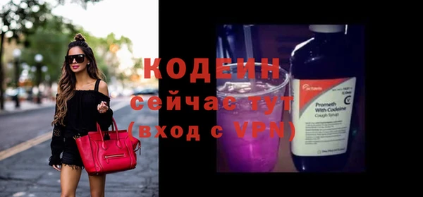 ешки Вяземский