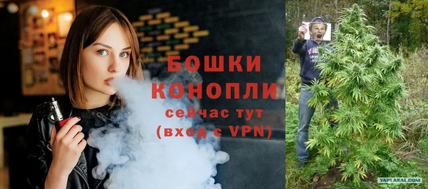 ешки Вяземский