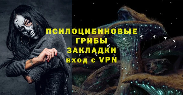 ешки Вяземский