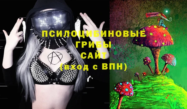 ешки Вяземский