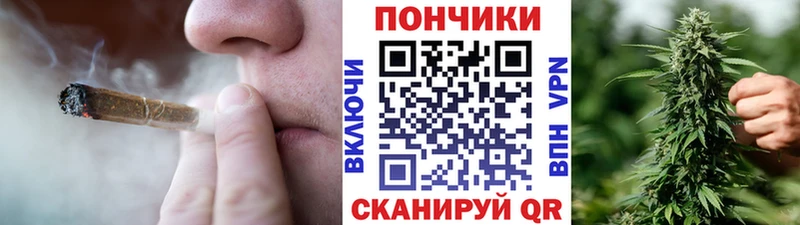 Купить  Белый  Бошки марихуана марихуана 